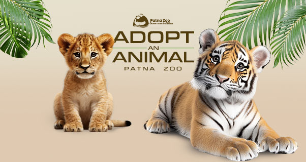 Adopt an Animal