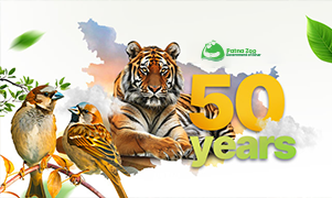 Historic photo of Patna Zoo
