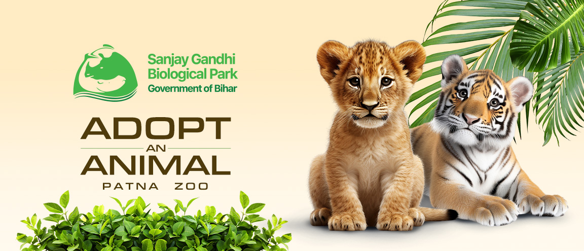 Key Personnel - Chief Minister, Prime Minister and other dignitaries