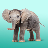 Elephant calf