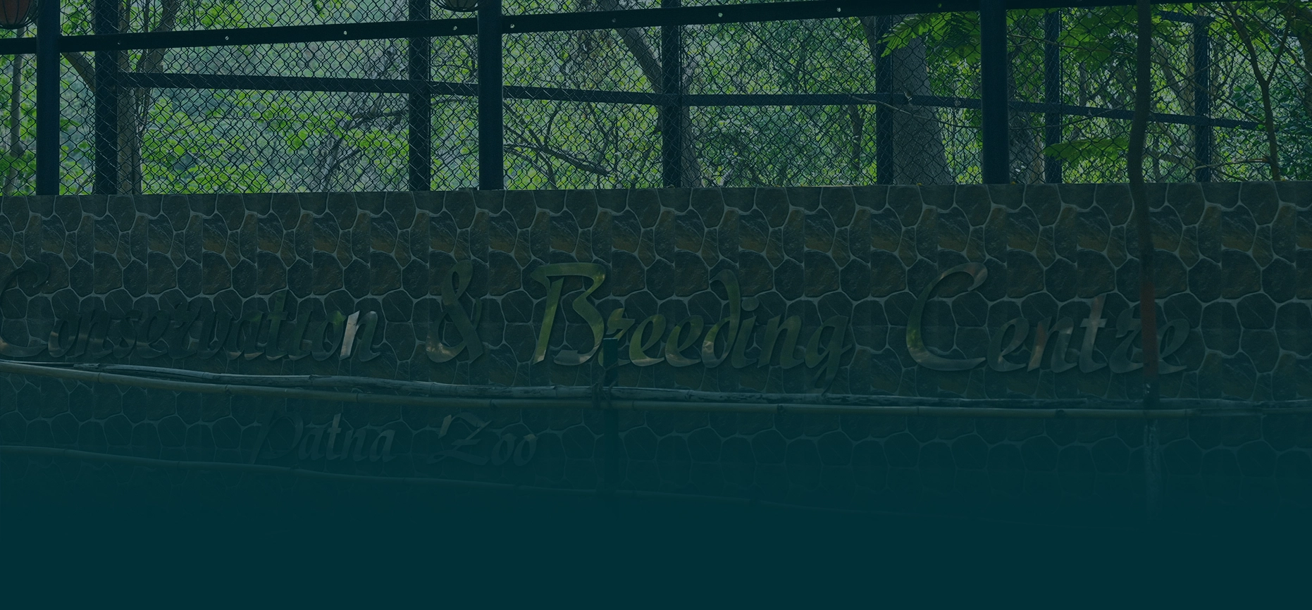 RHINO BREEDING CENTER