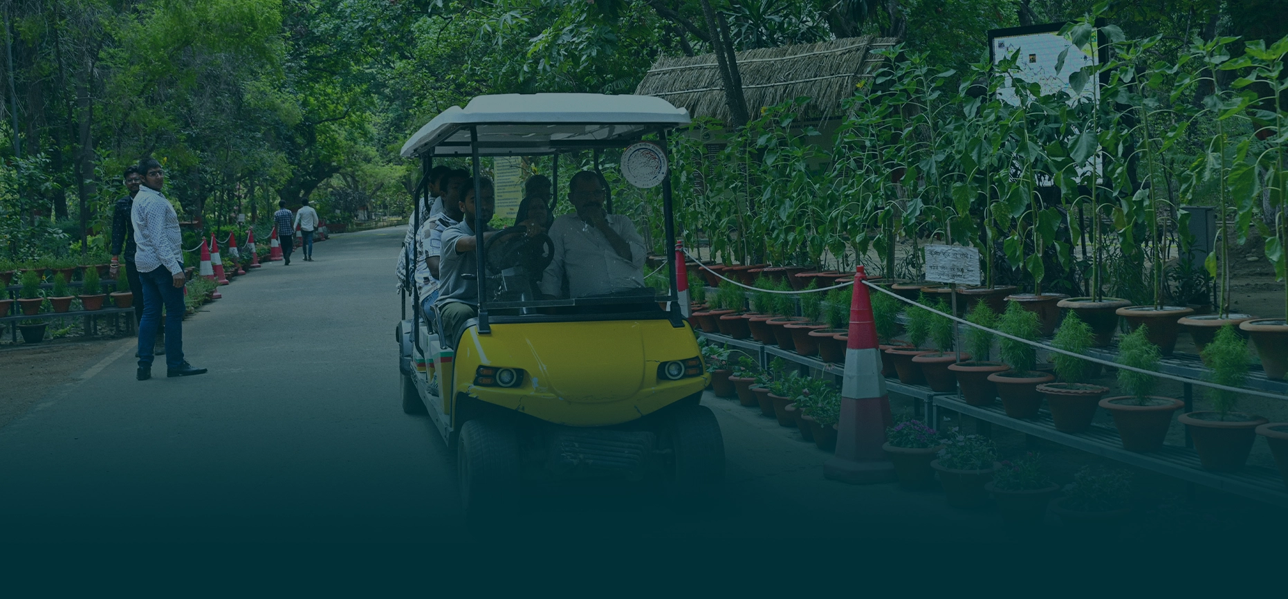 GOLF CARTS